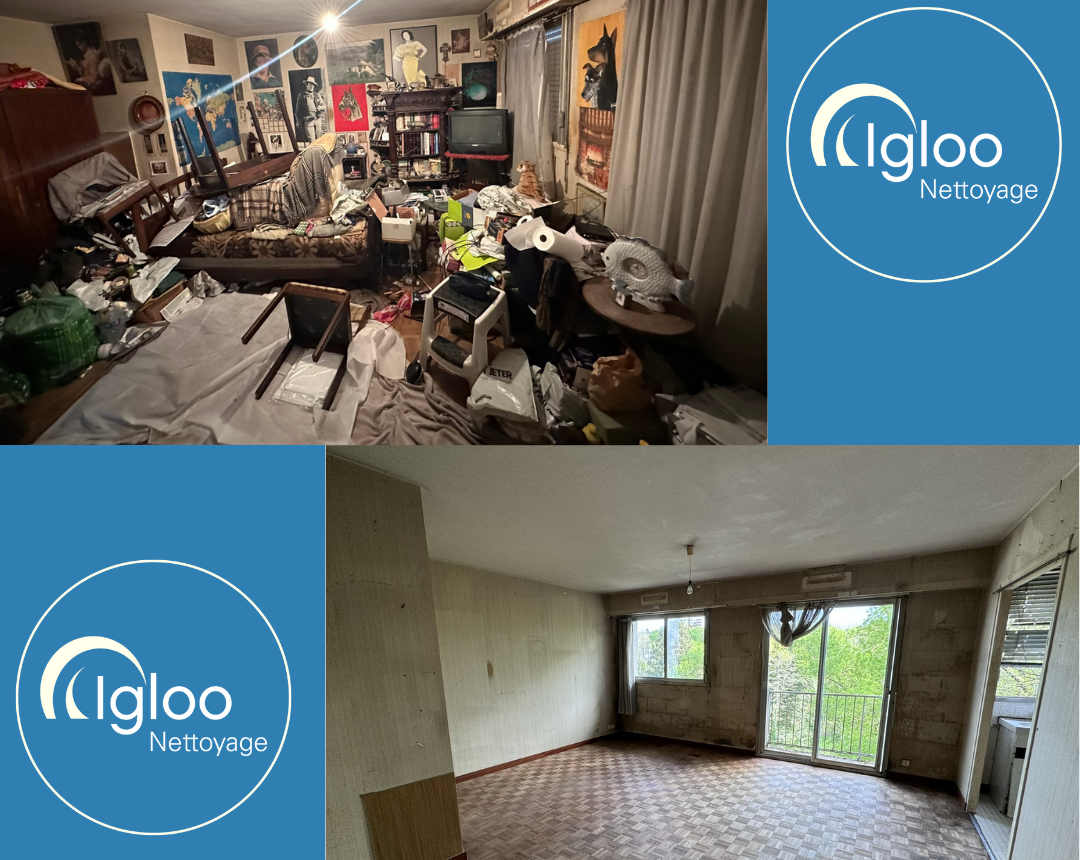 igloo s'est chargé d'un débarras à nantes